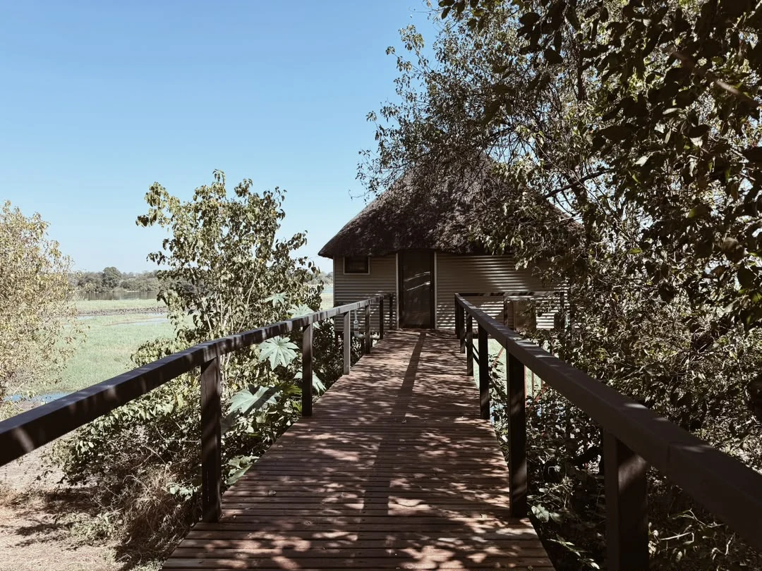 Raised boardwalk leading to a thatched lodge room