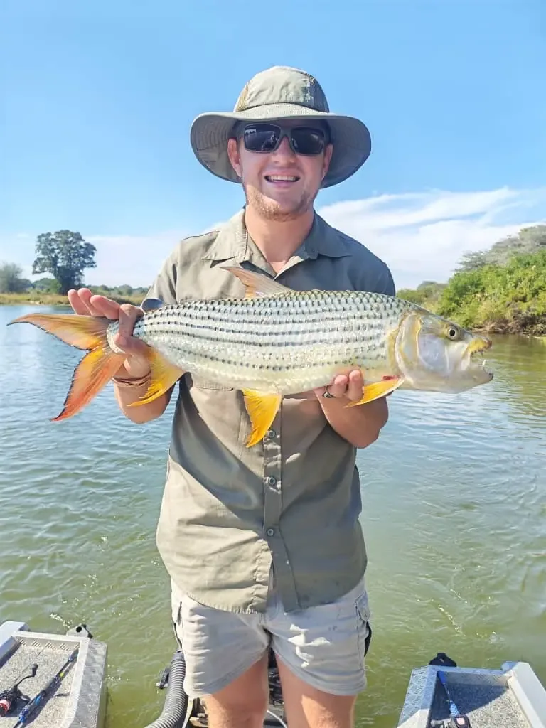 Close view of a tigerfish caught on a guided fishing trip