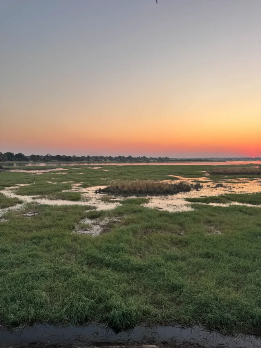 Wetland views included in the Safari Combo experience